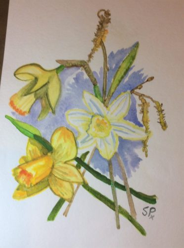 Sandra P. Spring flowers, watercolour.